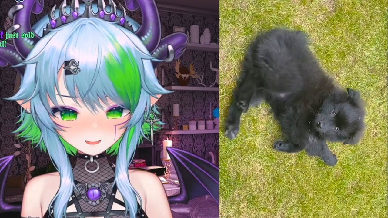 Froot Vt Froot shows her new puppy! - YouTube