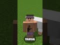 Minecraft'ta Demir Goleme Yumruk Atarsanız Ne Olur ?