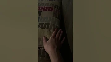 Playing with kitty hiding under pillow