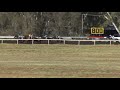 View race 5 video for 2021-04-25