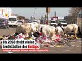 Johannesburg erstickt im Müll: Mehr als 2000 illegale Brennpunkte mitten in der Stadt