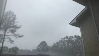 Celebrity The eye wall hurricane delta Wealth