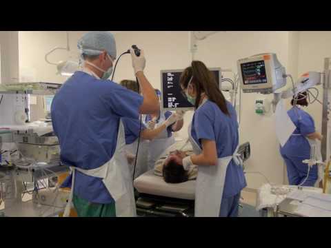 Video: Bronchoscopy Til Vurdering Af Patienter Med Hæmoptyse: Hvilken Er Den Optimale Timing?