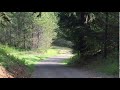 Baby Bigfoot Captured On Video? - YouTube