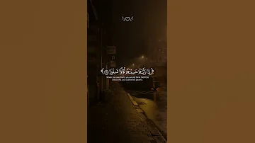 ع ي ن ا ف يه ا ت س م ى س ل س ب يل ا القارئ محمد اللحيدان سوره الإنسان لايك قرآن 