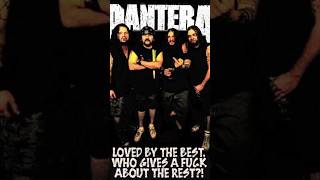 Conheça um pouco da história da banda pantera #metal