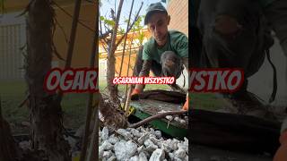 Serwis nawodnienia 🆗