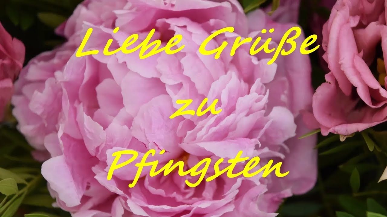 Liebe Grüße zu Pfingsten Pfingstgrüße zum Versenden YouTube