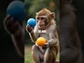Monkey playing with balls