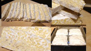 How To Make Tempeh Homemade Cara Membuat Tempe Fermenting Soybeans