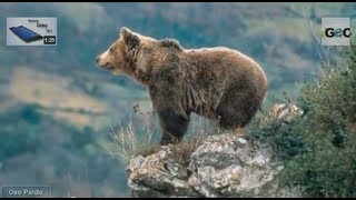 Picos de Europa: Covadonga, Cares y Fuente Dé  / Picos de Europa National Park [IGEO.TV]