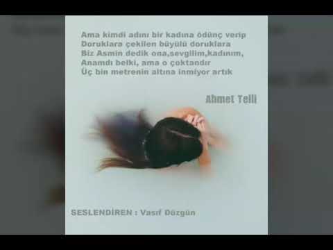 Ahmet Telli - Asmin