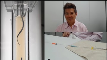 CTO DEMON DEMONSTRATES NEW Angiographic 3D Antegrade Penetration Technique ADAPT wiring.