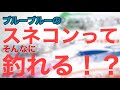 テスターがスネコンを初めて使ってみたら簡単に無双した！