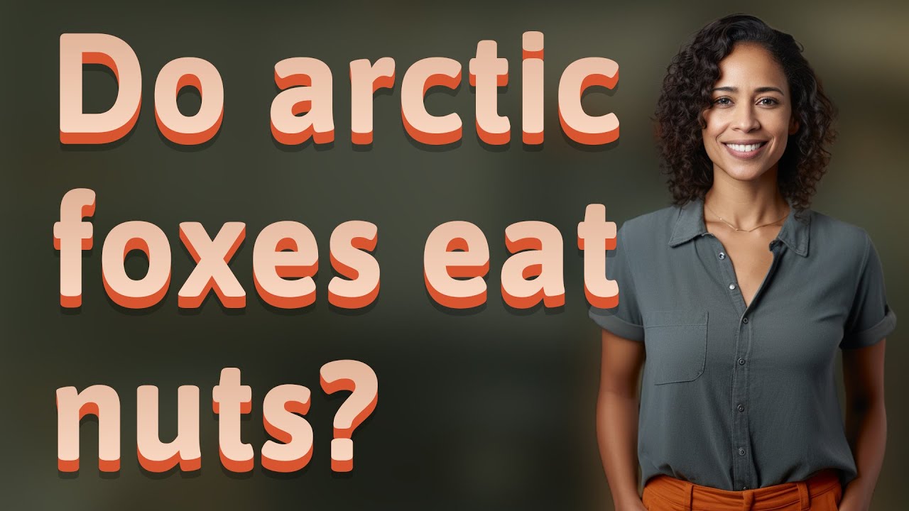 Do arctic foxes eat nuts?