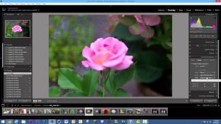 How To Get Started With Adobe Lightroom 5