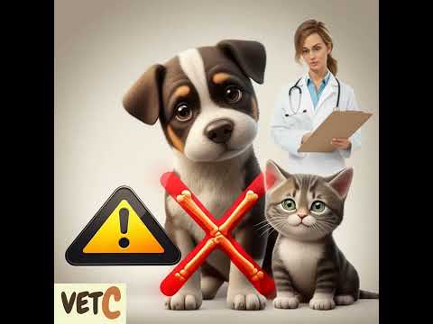  أقوى مضاد حيوي بيطري داء ودواء 