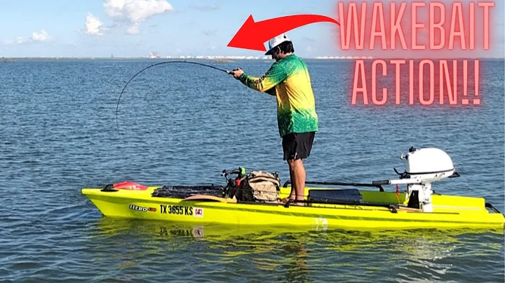 INSANE surface bite at Wilsons cut (Port Aransas,Tx)