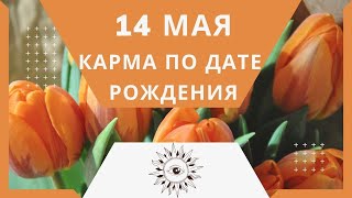 14 мая - Карма по дате рождения