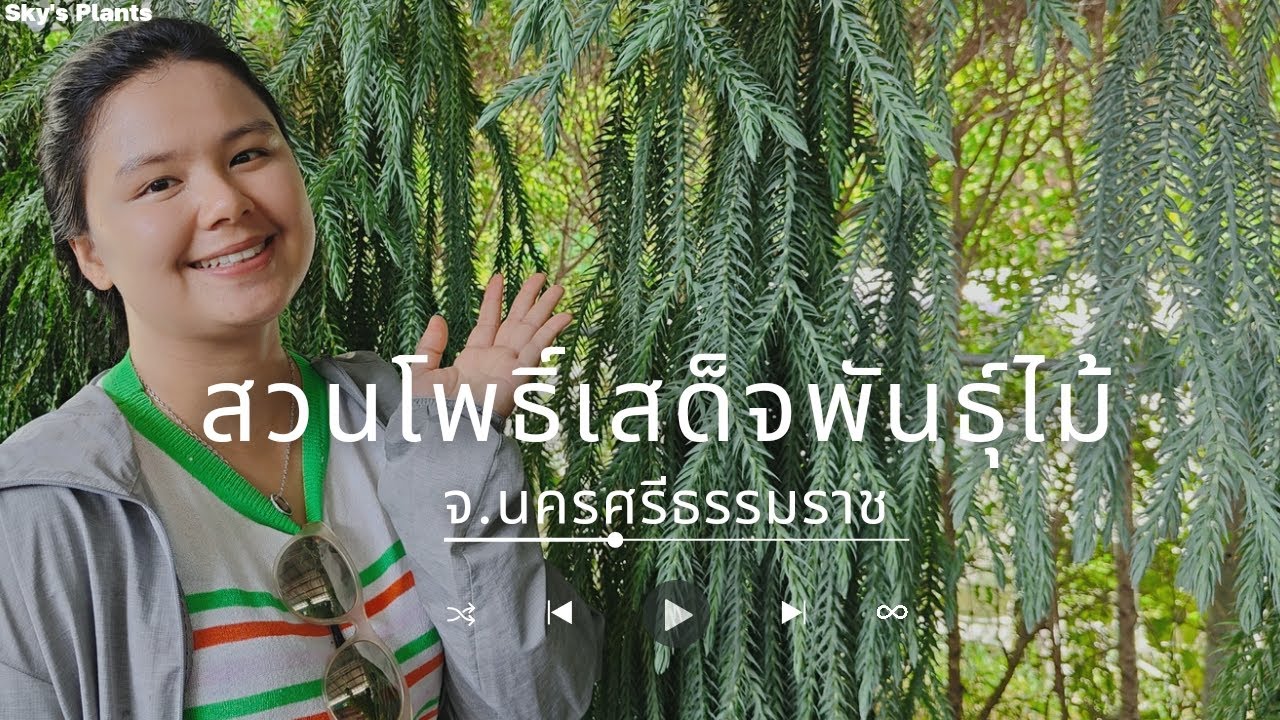 สวนโพธิ์เสด็จ  จ.นครศรีธรรมราช พามาชมเฟิร์น และขยายพันธุ์ค่ะ