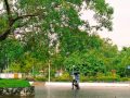 University of Calicut Campus View University of Calicut Campus View