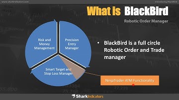 The Best of Both Worlds: Automated & Discretionary Trading w/SharkIndicators