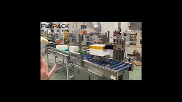 Styrofoam box sealer,8-12boxes/min#boxsealer#Boxsealingmachine#Packagingmachine