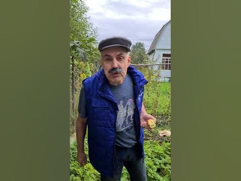 дача - YouTube