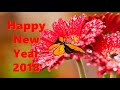 Happy New Year 2018, Wishes, video download,Whatsapp Video,song,countdown,wallpaper,animation