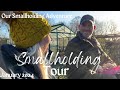 First smallholding tour of 2024  uk homestead in january