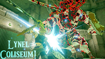TOTK: The Floating Coliseum!  (No DMG, No Bow) | Parrying All Lynels Challenge!