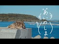 【予告編】短編映画『あいのしま』