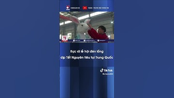 Rực rỡ lễ hội đèn lồng dịp Tết Nguyên tiêu tại Trung Quốc - VNEWS #shorts