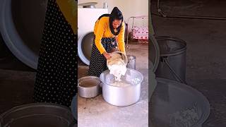 NMK Cow Farming 🐄 #cow #farming #viralvideo #viral #trending #trendingvideo #shortsfeed #shorts