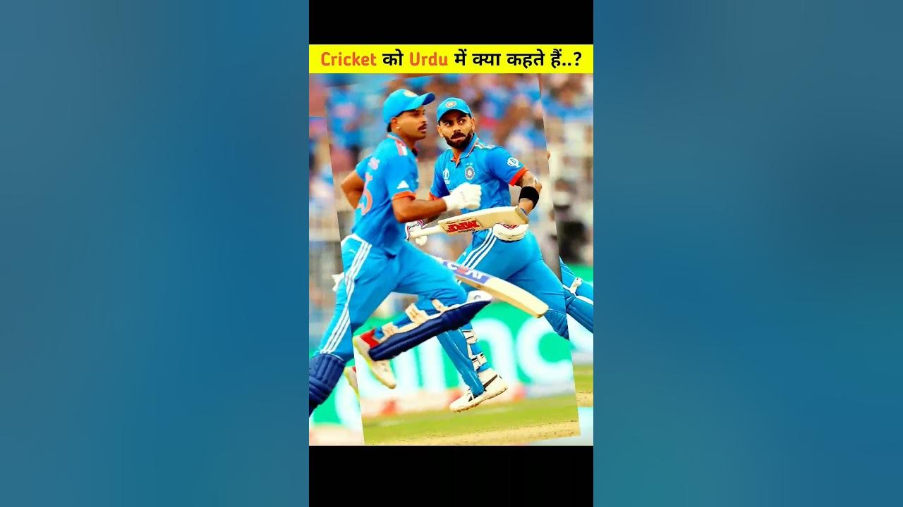 What Is Cricket Called In Urdu Facts About Cricket shorts what-is-cricket-called-in-urdu-facts-about-cricket-shorts