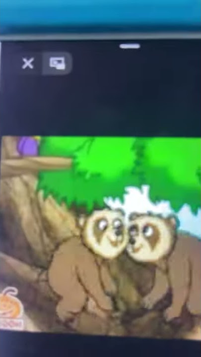 Diego Go Chito And Rita The Spectacled Bears series