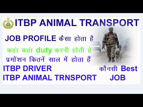 ITBP ANIMAL TRANSPORT JOB PROFILE//प्रमोशन कितने साल में होता है //JOB  PROFILE ITBP ANIMAL TRANSPORT - YouTube