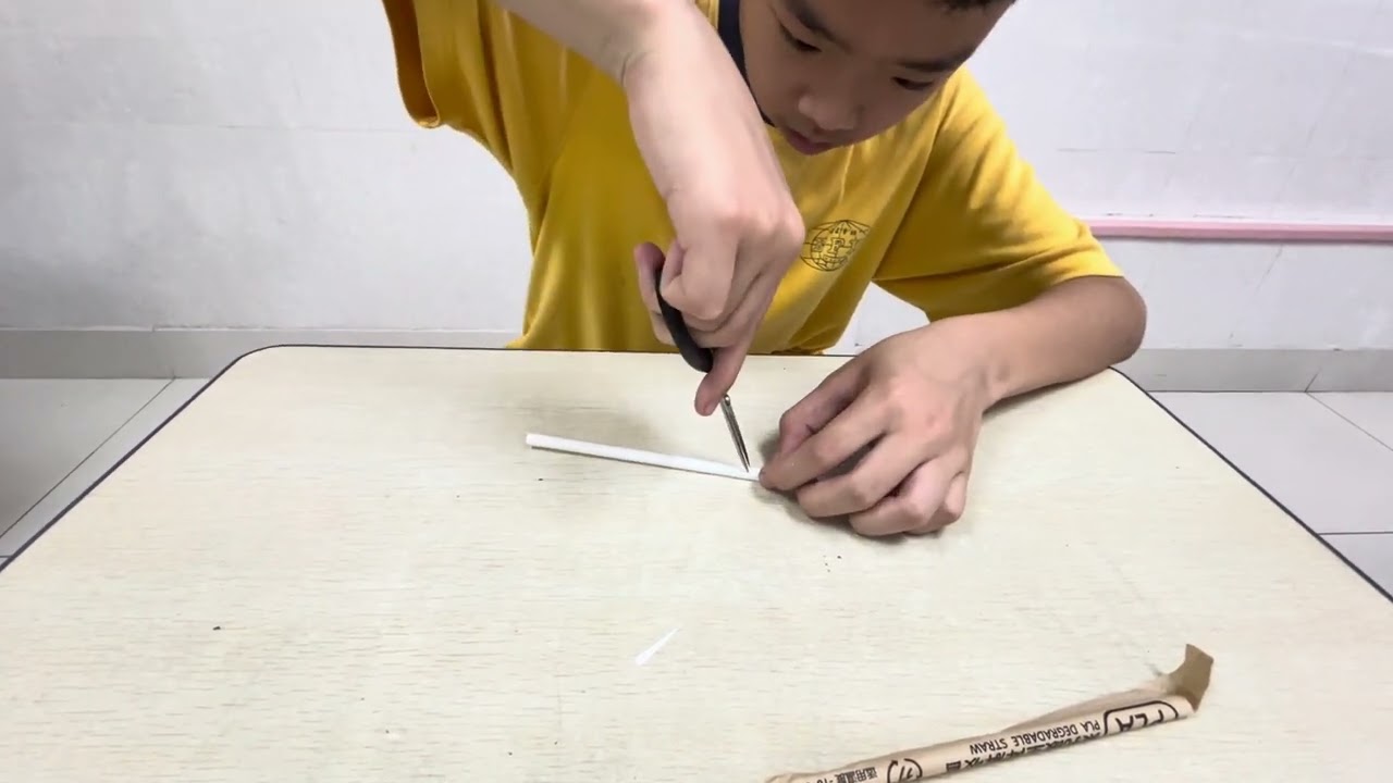 MAC-2024-066 吸管笛 Drinking tube flute