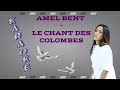 Amel Bent - Le Chant Des Colombes (Karaoke, Parole, Instrumental, Lyrics)