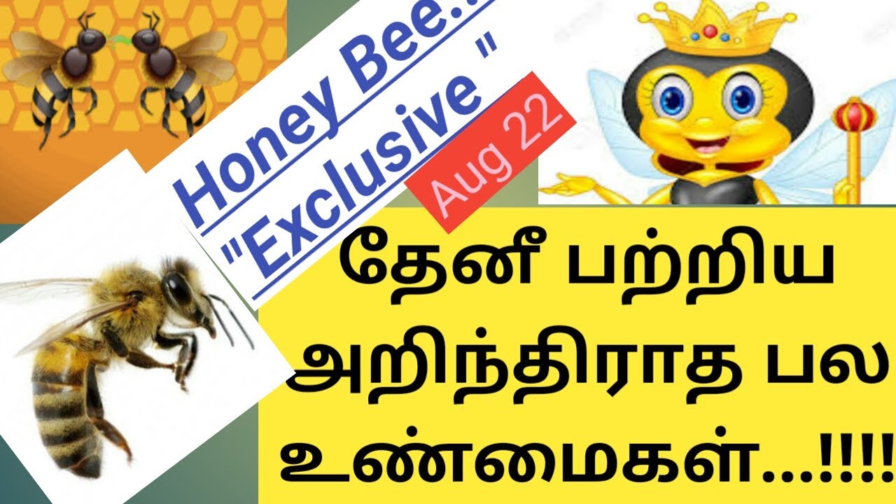 Honey Bees Make Honey தேன்Natural History How Do Bees Make Honey