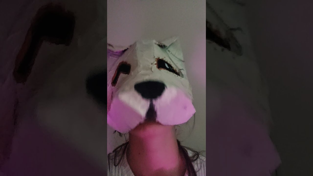 Hehe 3 Furry Music Therian Therianthropy Therians Fursuit Foxtherian Soul