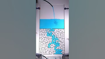 Can water solve a maze #shorts