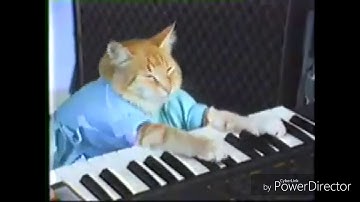 [Sparta Remix]Piano Cat