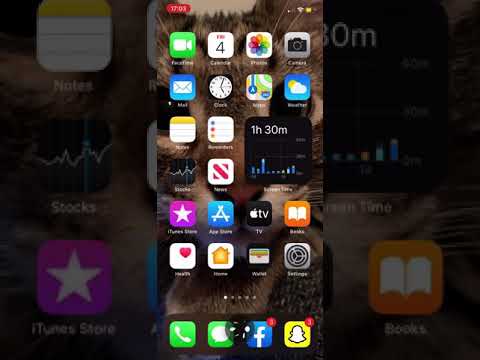 Japanese Siri Has A Stroke