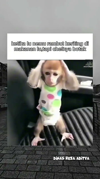apa benda tu? #memes #meme #funny #lucu #shorts