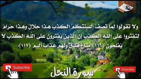 تلاوة عذبة من سورة النحل للقارئ الشيخ إسلام صبحي