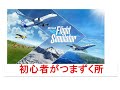 Microsoft フライトシミュレータ2020【セットアップから初飛行まで、初心者を救いたい】
