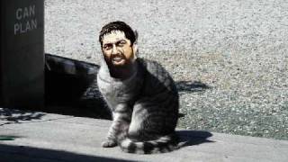 this is sparta randomness