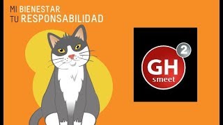 Ghsmeet'2 -Semana Gatuna ( santysmeet )