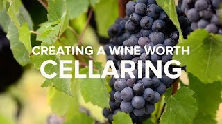 Stag's Leap Wine Cellars  Creating a Wine Worth Cellaring